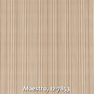 Maestro, 12-7853