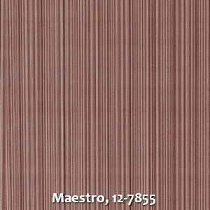 Maestro, 12-7855