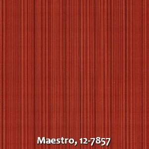 Maestro, 12-7857
