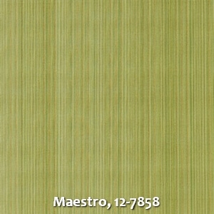 Maestro, 12-7858