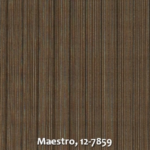 Maestro, 12-7859