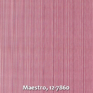 Maestro, 12-7860