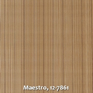 Maestro, 12-7861