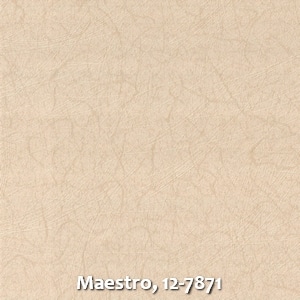 Maestro, 12-7871