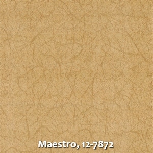 Maestro, 12-7872