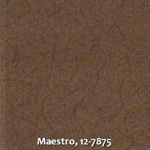 Maestro, 12-7875
