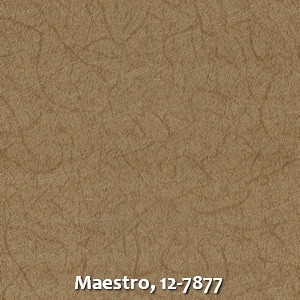 Maestro, 12-7877