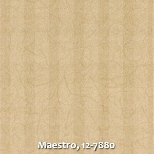 Maestro, 12-7880