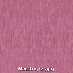 Maestro, 12-7903
