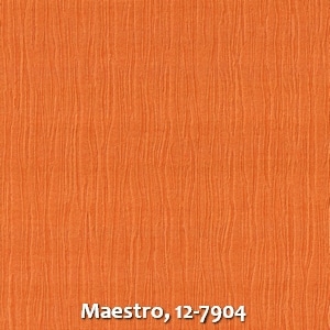 Maestro, 12-7904