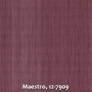 Maestro, 12-7909