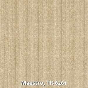 Maestro, TR-6261