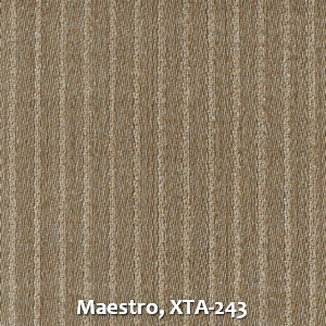 Maestro, XTA-243