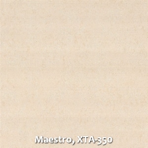Maestro, XTA-350