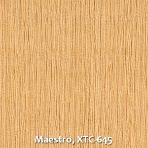 Maestro, XTC-645