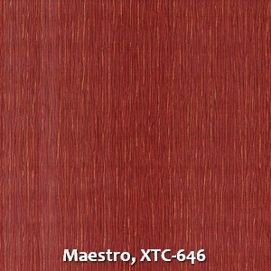 Maestro, XTC-646