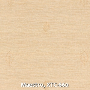 Maestro, XTC-660