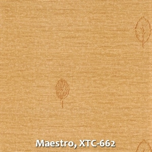 Maestro, XTC-662