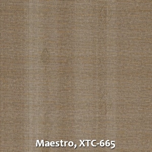 Maestro, XTC-665