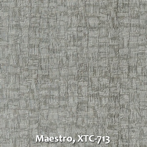 Maestro, XTC-713