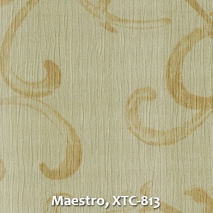 Maestro, XTC-813