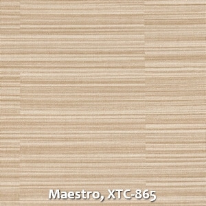 Maestro, XTC-865