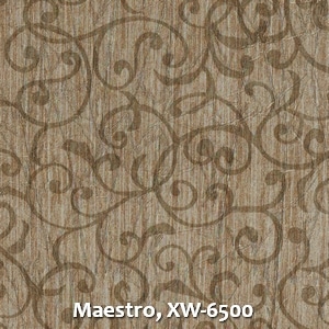 Maestro, XW-6500