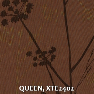 QUEEN, XTE2402