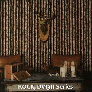 ROCK, DV1311 Series