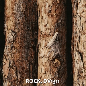 ROCK, DV1311