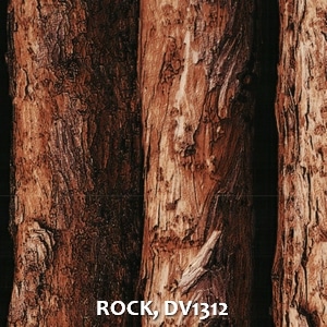 ROCK, DV1312