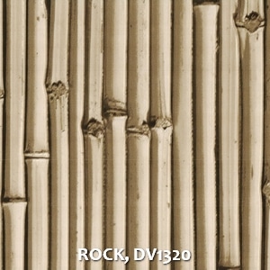 ROCK, DV1320