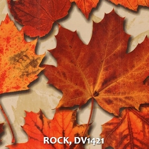 ROCK, DV1421