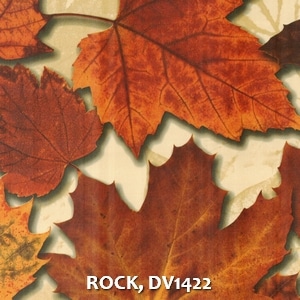 ROCK, DV1422
