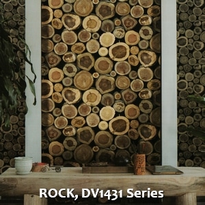 ROCK, DV1431 Series