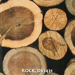 ROCK, DV1431
