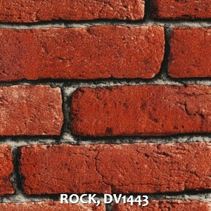 ROCK, DV1443