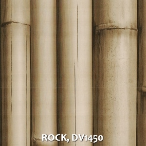 ROCK, DV1450
