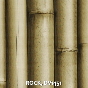 ROCK, DV1451