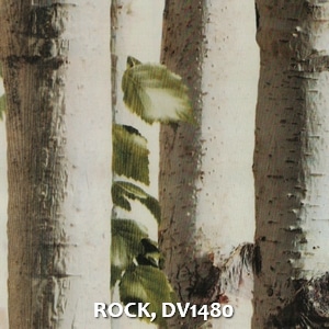 ROCK, DV1480