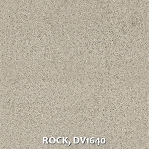 ROCK, DV1640