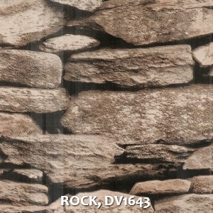 ROCK, DV1643