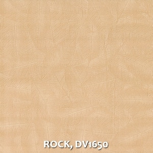 ROCK, DV1650