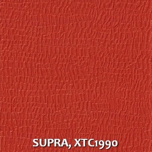 SUPRA, XTC1990